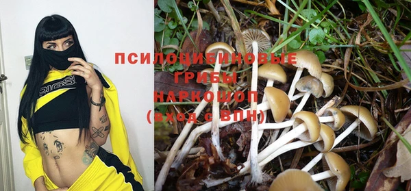 а пвп мука Алзамай