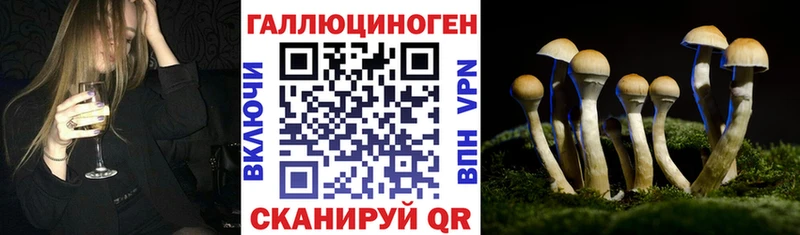 ссылка на мегу вход  купить наркотик  Муравленко  Галлюциногенные грибы мухоморы 